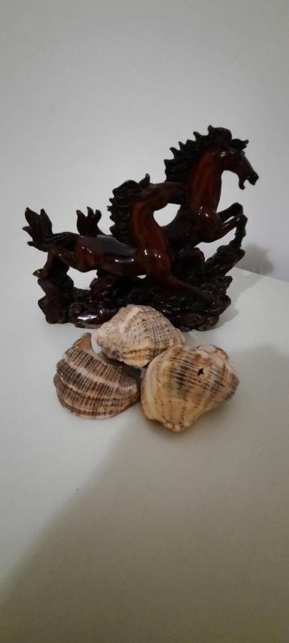 דירות Apartament Clara Përmet מראה חיצוני תמונה